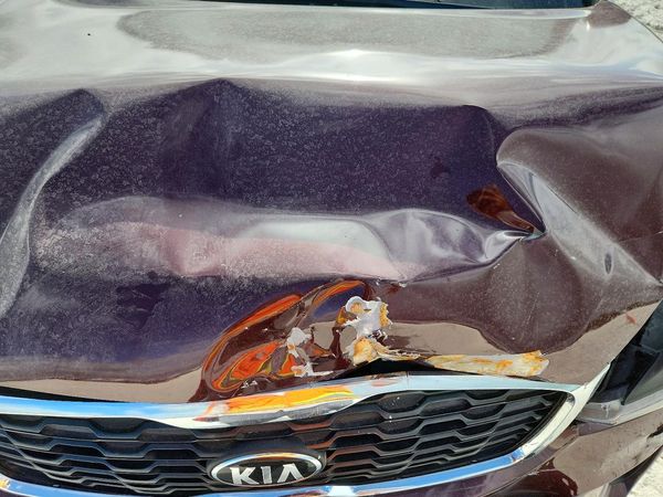 2019 KIA SORENTO L, LX, S