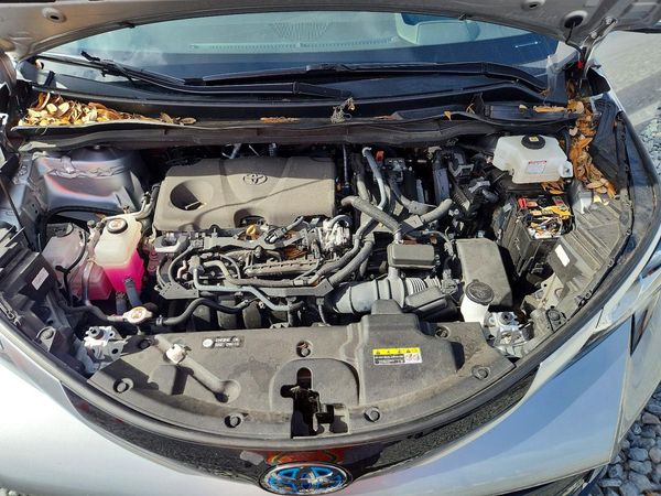 2023 TOYOTA SIENNA Platinum — Engine bay