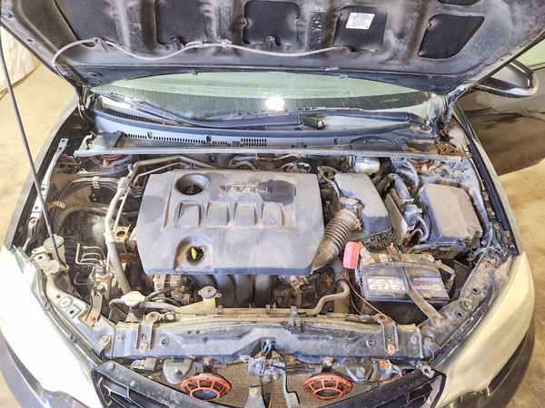2014 TOYOTA COROLLA L/LE