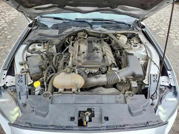 2019 FORD MUSTANG I4 Convertible