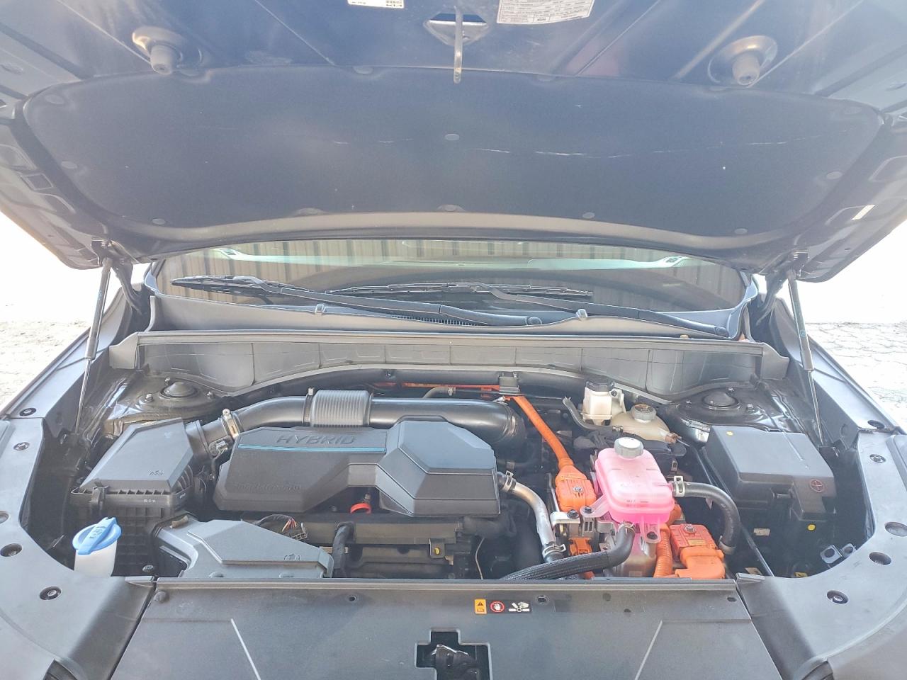 2025 KIA SORENTO EX (FWD),  EX (AWD)