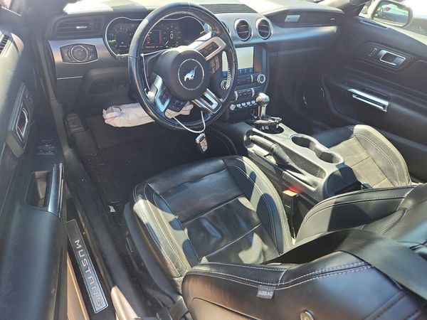2019 FORD MUSTANG