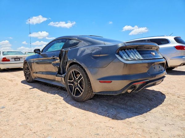 2019 FORD MUSTANG