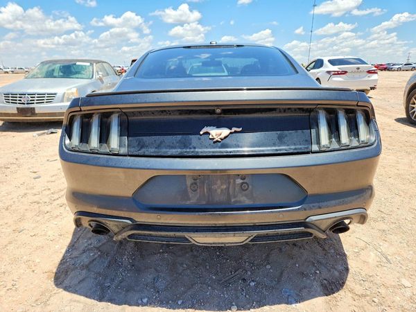 2019 FORD MUSTANG
