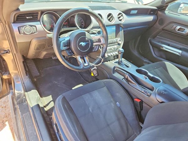 2019 FORD MUSTANG