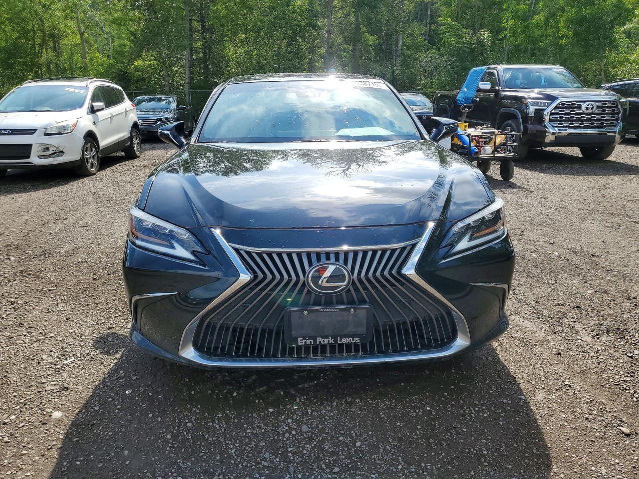 2019 LEXUS ES 350