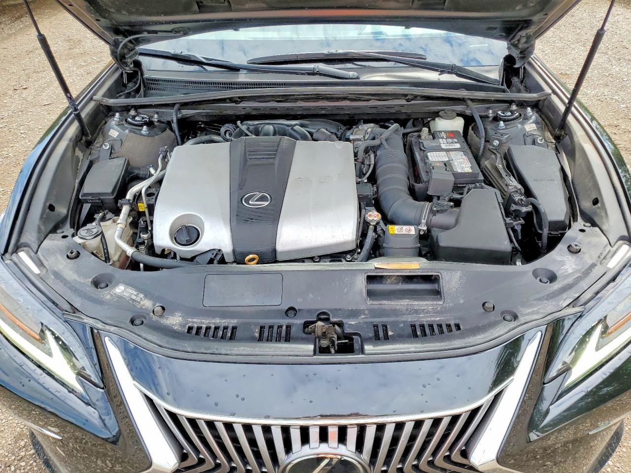 2019 LEXUS ES 350