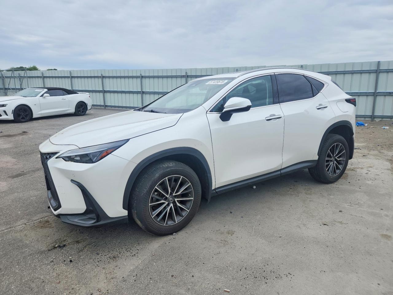 2023 LEXUS NX 350 Premium