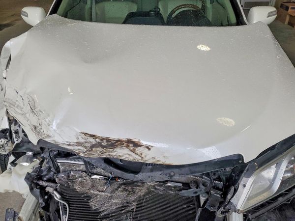 2013 ACURA RDX