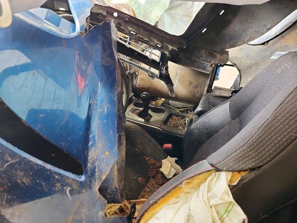 2017 TOYOTA CAMRY LE/SE/XLE/XSE — DENT