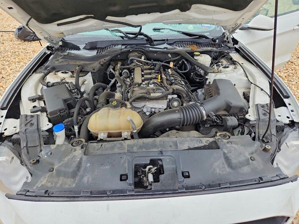 2022 FORD MUSTANG I4 Convertible
