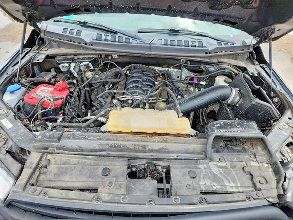 2019 FORD F150