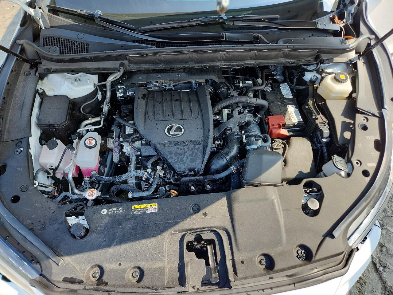 2023 LEXUS RX350 350