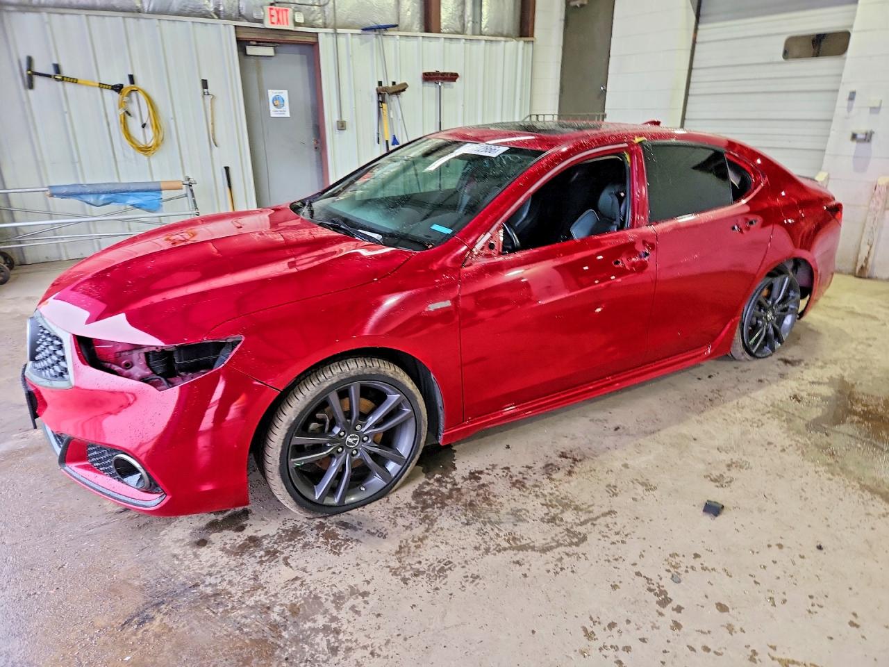 2019 ACURA TLX TECH+A / TCH+AR