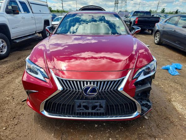 2019 LEXUS ES 300h