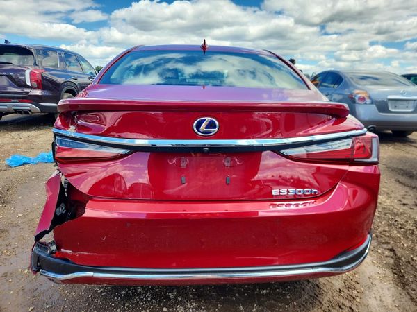 2019 LEXUS ES 300h
