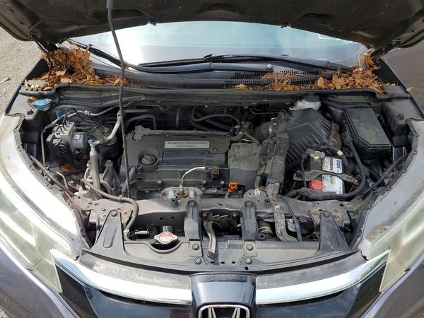 2015 HONDA CRV LX