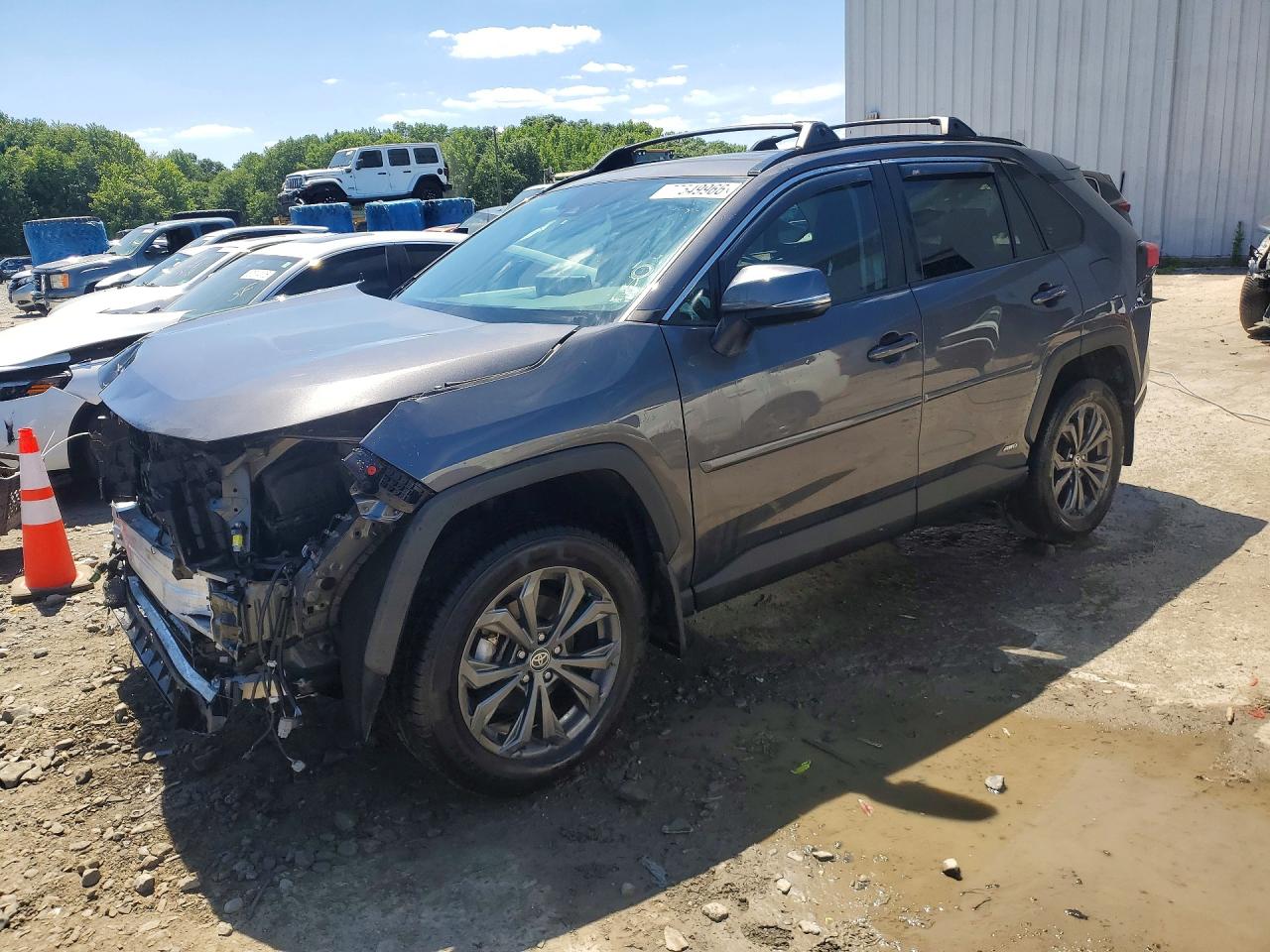 2024 TOYOTA RAV4 XLE Premium