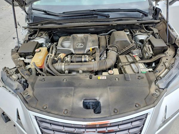 2019 LEXUS NX 300