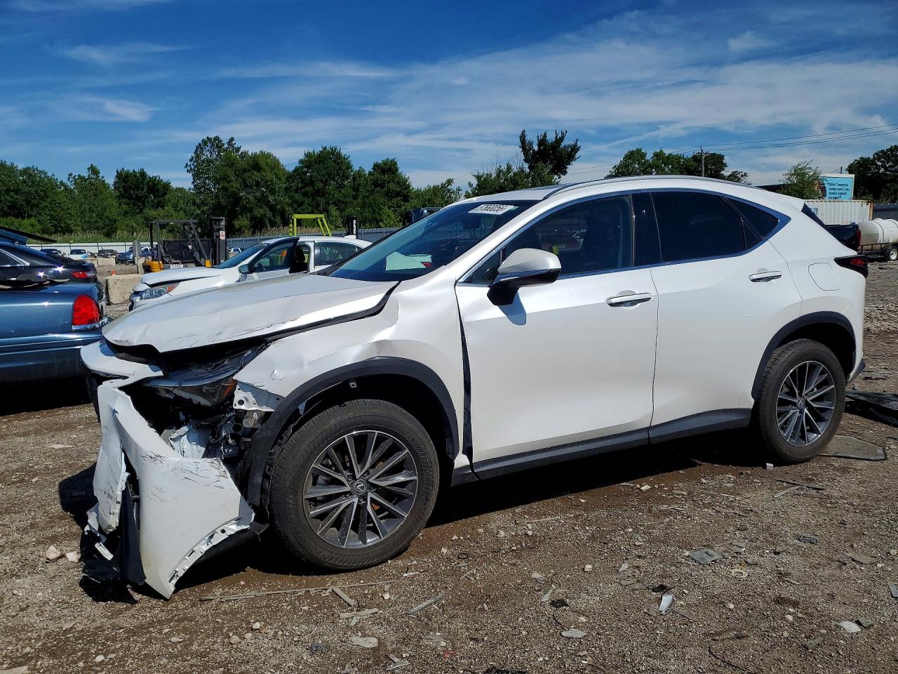 2024 LEXUS NX 350