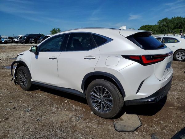 2024 LEXUS NX 350