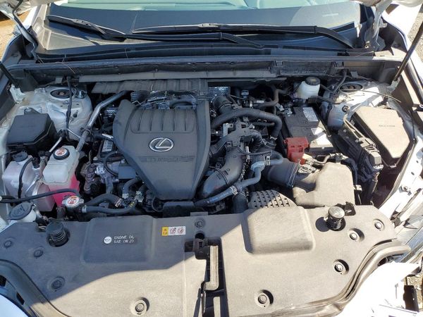 2024 LEXUS NX 350
