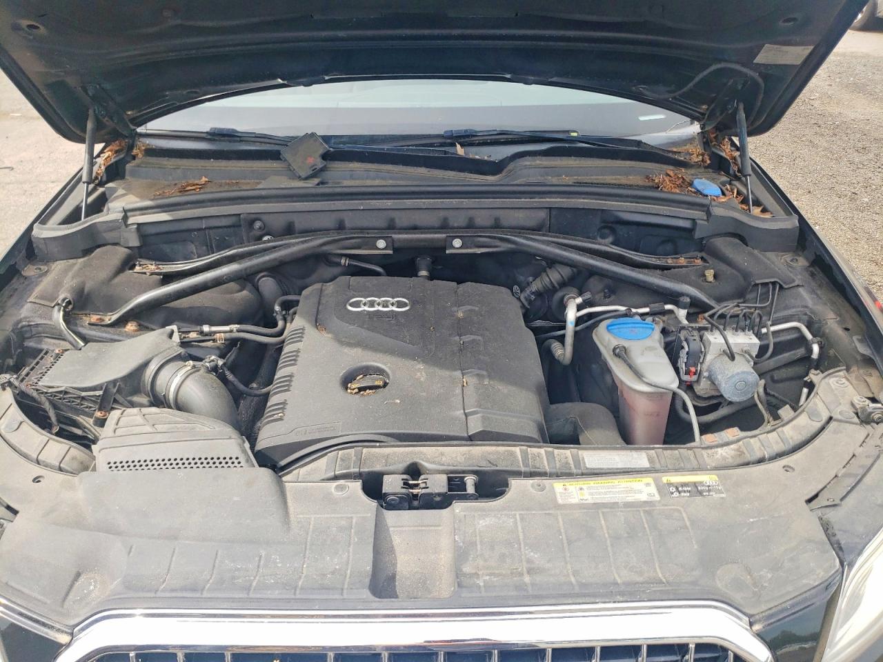 2013 AUDI Q5 Premium Plus