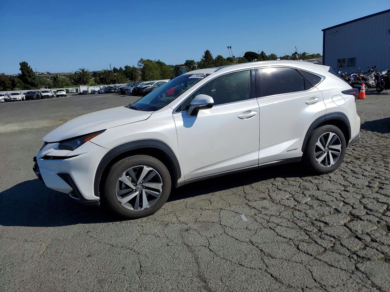 2018 LEXUS NX 300H Luxury
