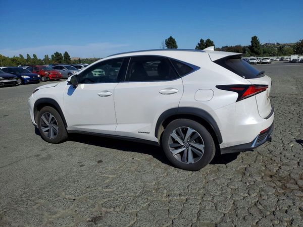2018 LEXUS NX 300H Luxury