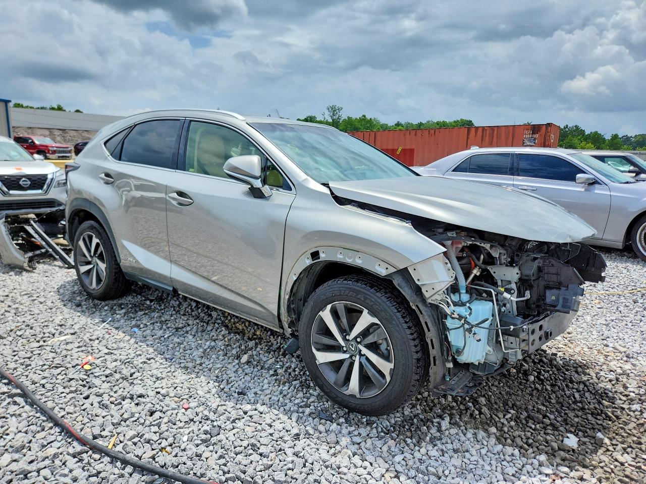 2019 LEXUS NX 300H Luxury