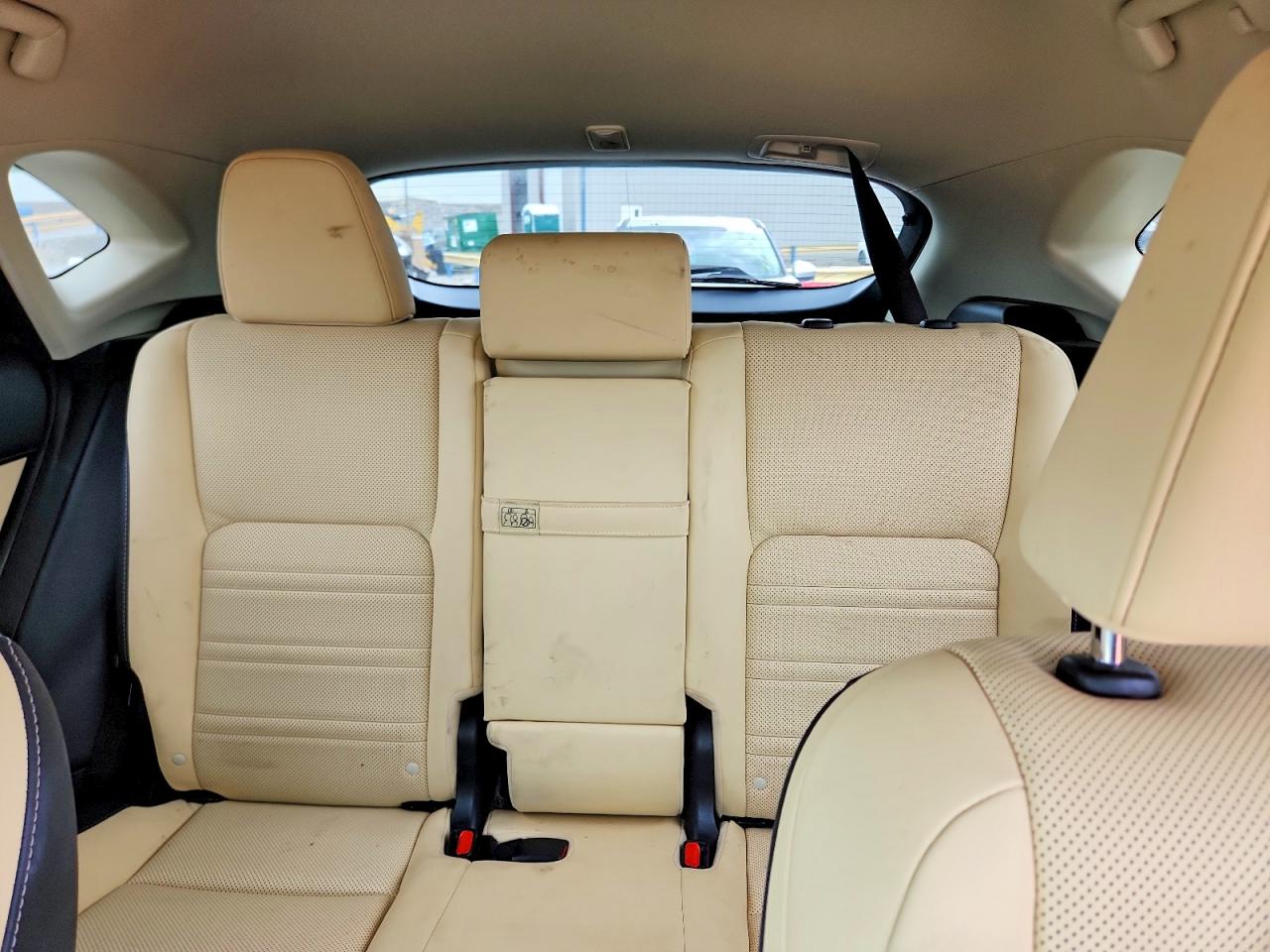 2019 LEXUS NX 300H Luxury