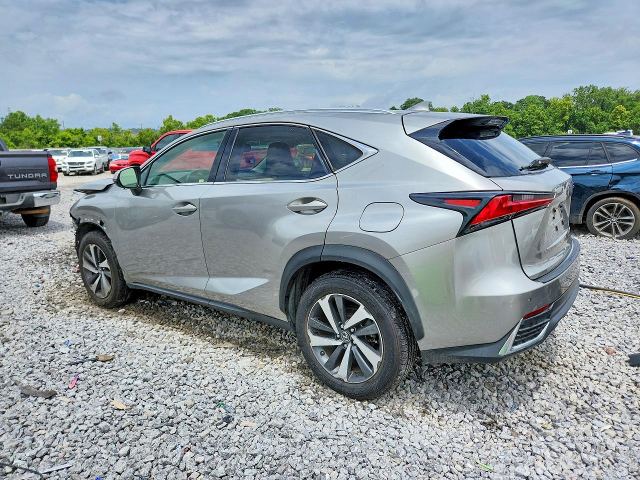 2019 LEXUS NX 300H Luxury