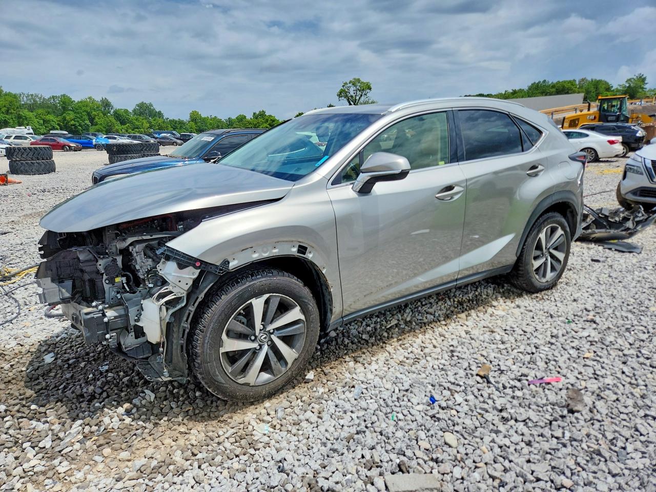 2019 LEXUS NX 300H Luxury