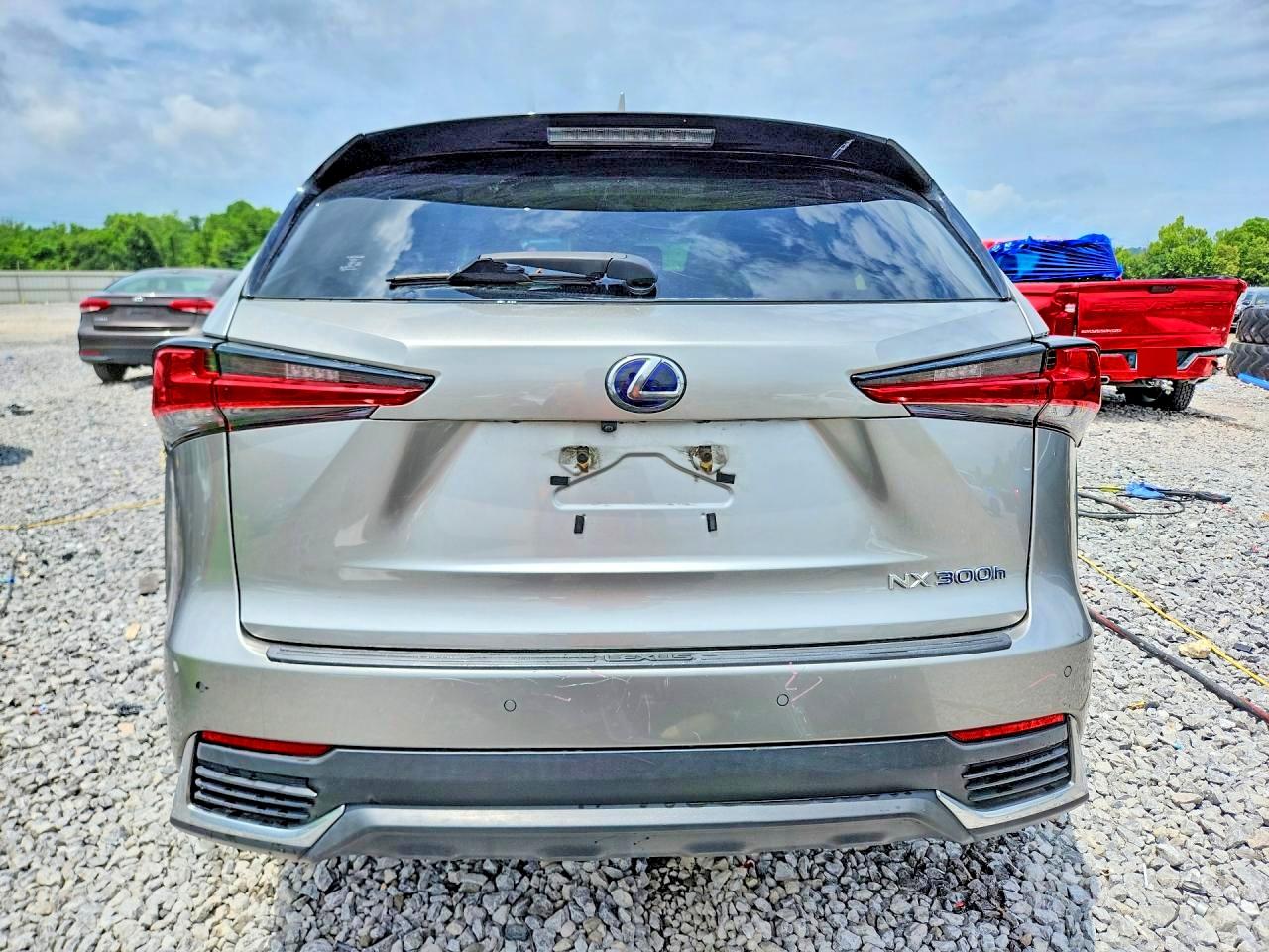 2019 LEXUS NX 300H Luxury