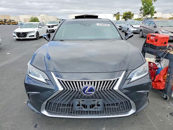 2019 LEXUS ES 300h