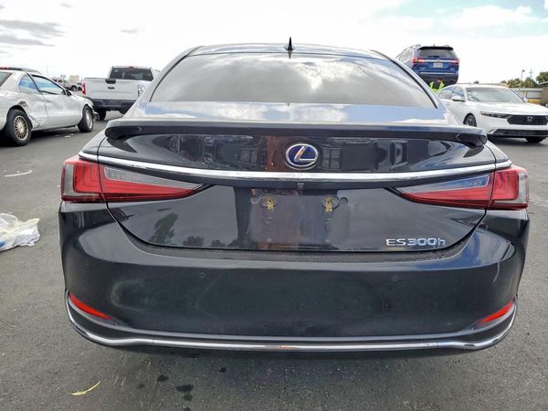 2019 LEXUS ES 300h