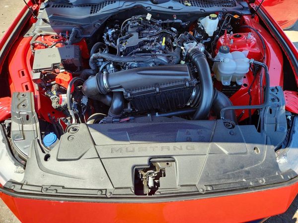 2026 FORD MUSTANG I4