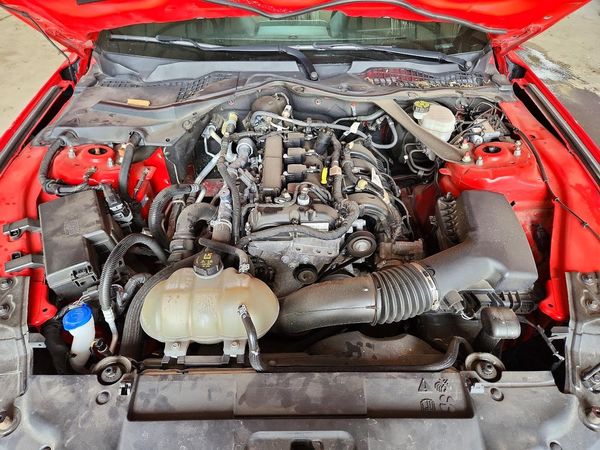 2022 FORD MUSTANG I4 Convertible