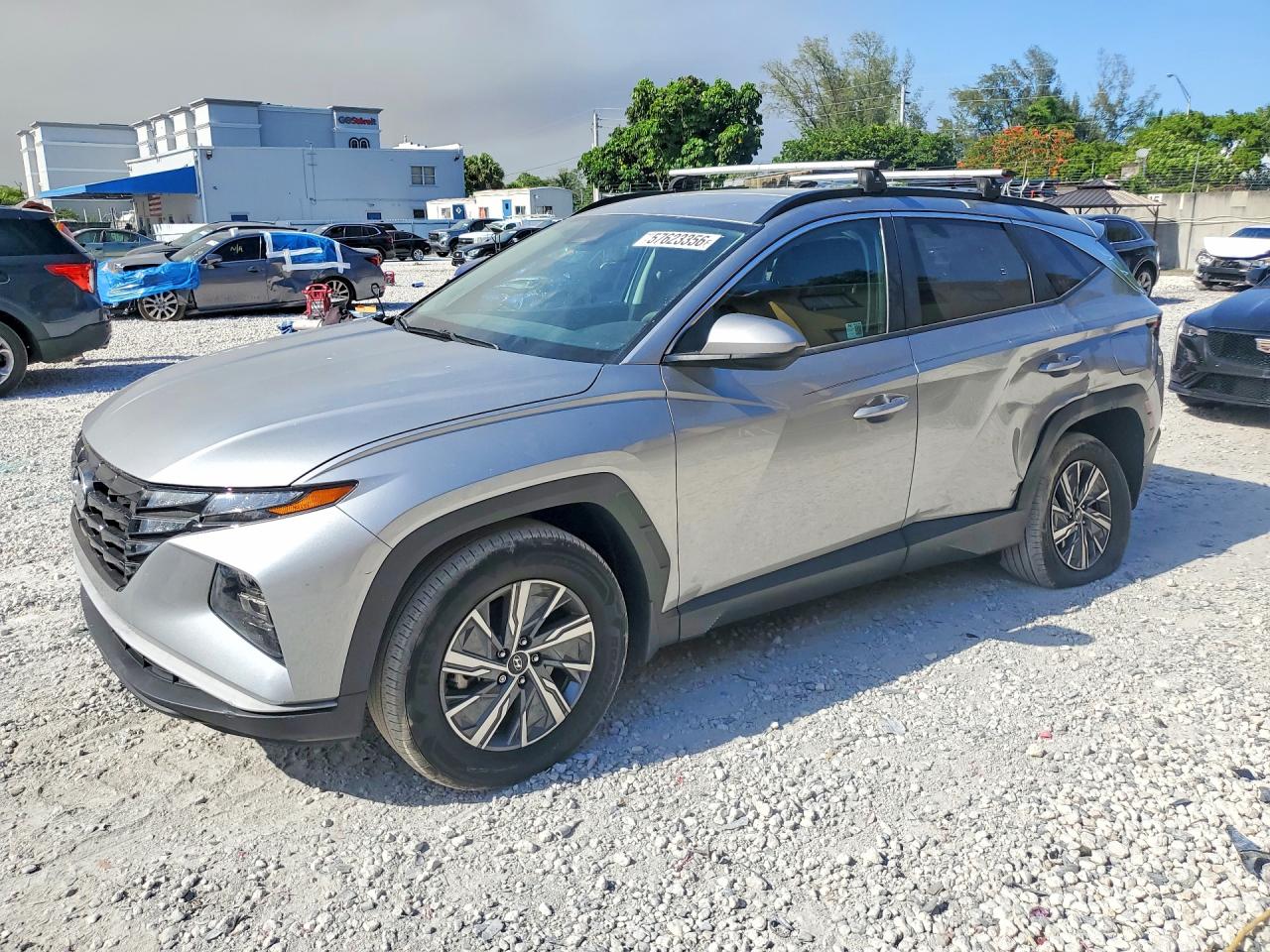 2024 HYUNDAI TUCSON Blue