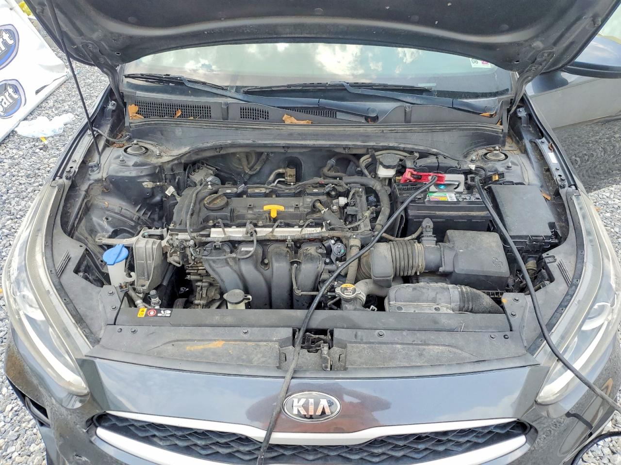 2019 KIA FORTE FE/LX/LXS