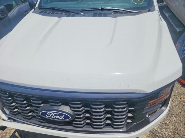 2025 FORD F150 STX