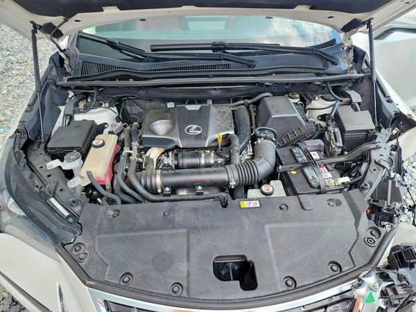 2020 LEXUS NX 300 300 Base