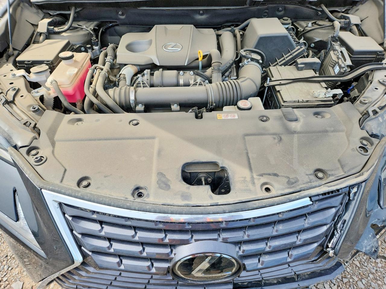 2021 LEXUS NX 300 300 Comfort