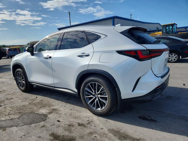 2025 LEXUS NX