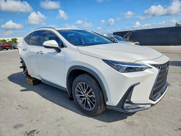 2025 LEXUS NX