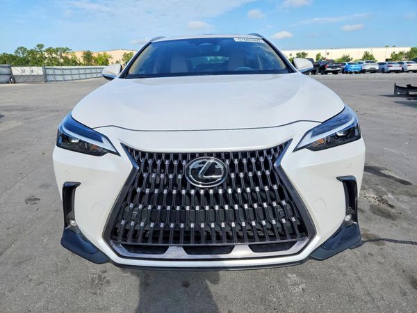 2025 LEXUS NX