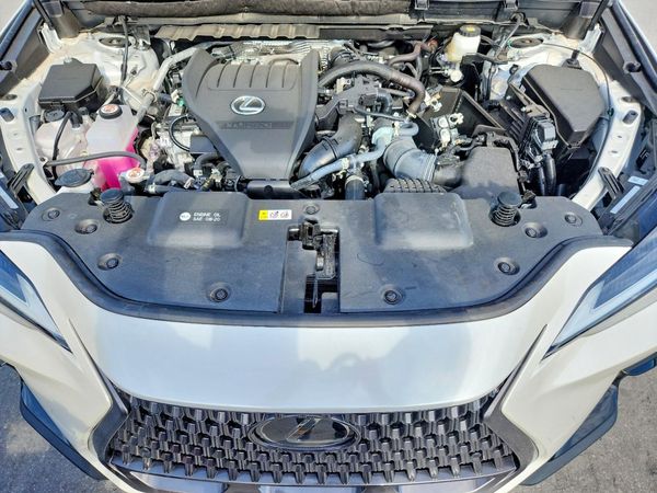 2025 LEXUS NX