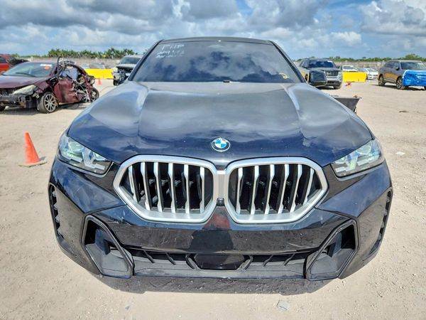 2025 BMW X6