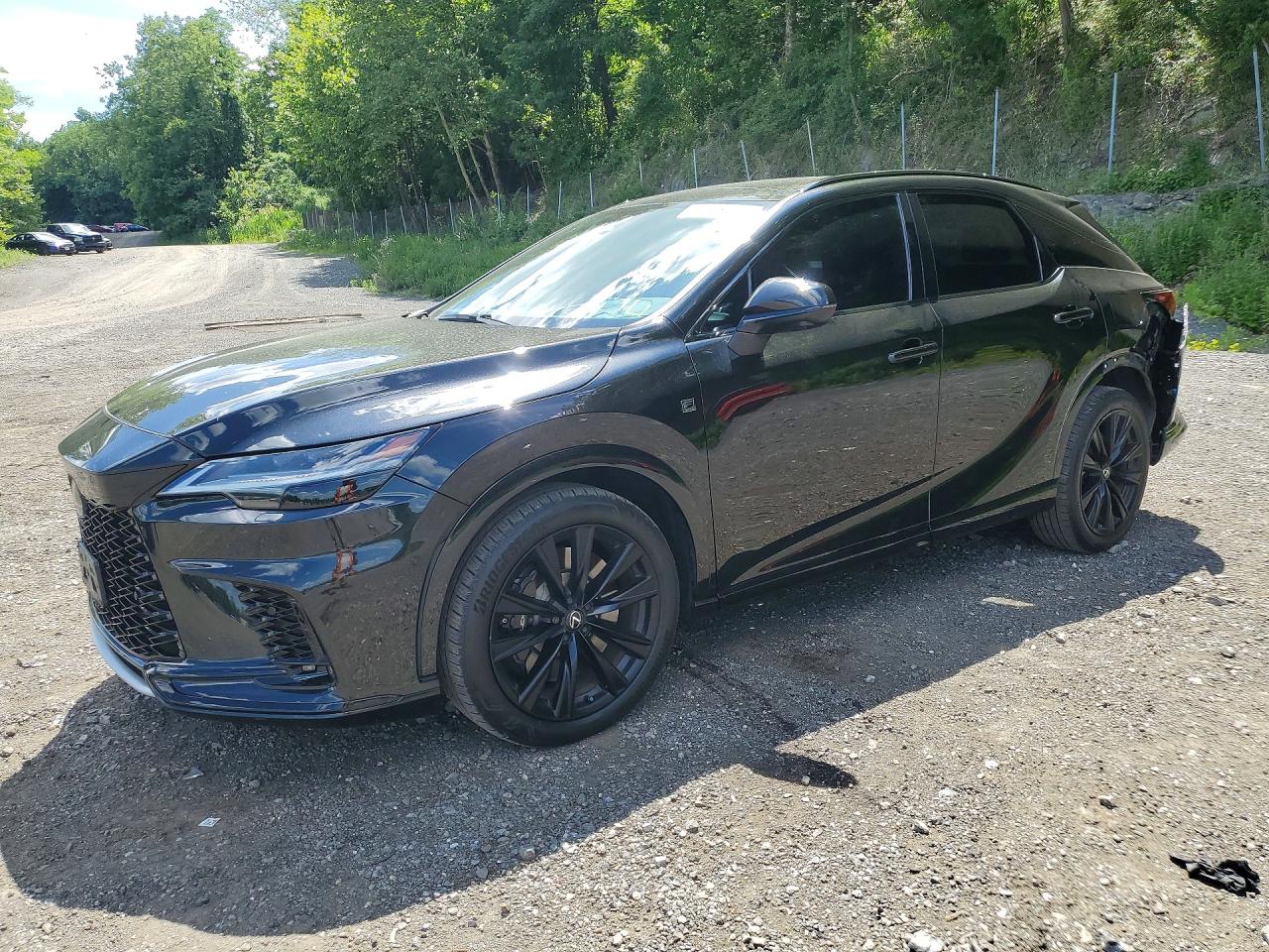2024 LEXUS RX 500H