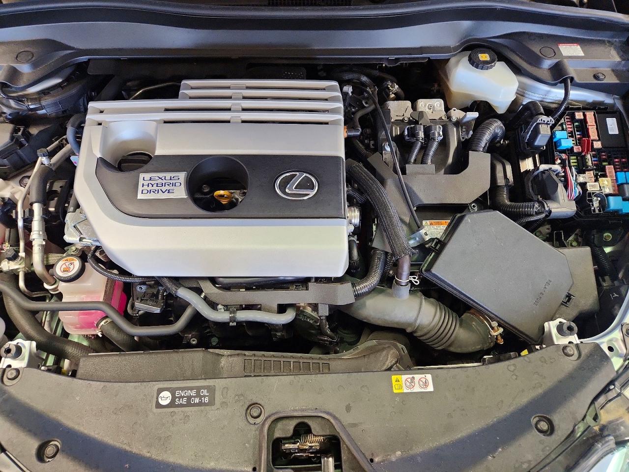 2020 LEXUS UX 250h F Sport Premium